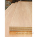 Plywood de madeira compensada de alto brilho